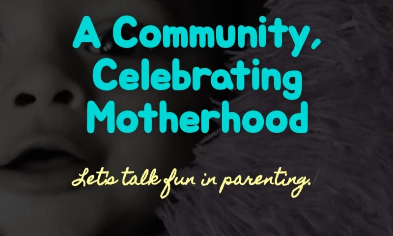 Building Fabee.Club Community