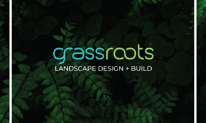 Grassroots - Brochure
