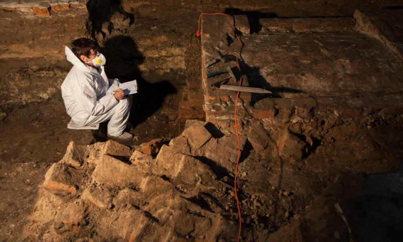 The Beaverhead Ltd - One stop solution for your entire pest control and termite business, all in the palm of your hand