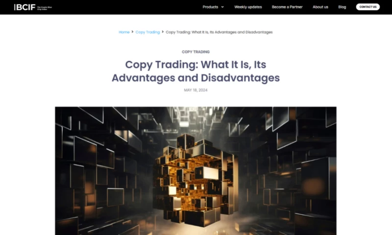 #Knights - BCIF - Best Crypto Index