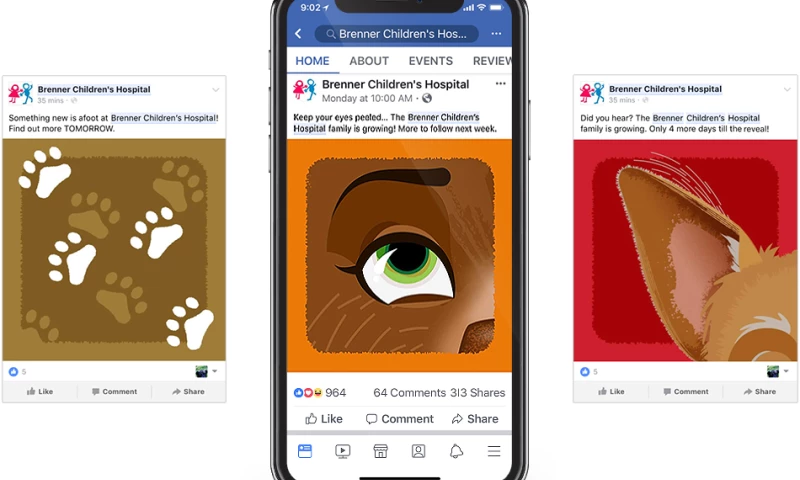 Wildfire - Brenner Children's Hospital Social