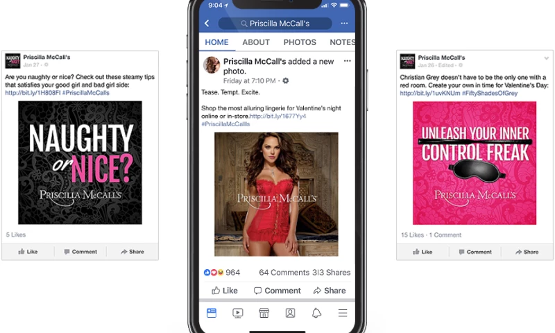 Wildfire - Priscilla McCall's Social
