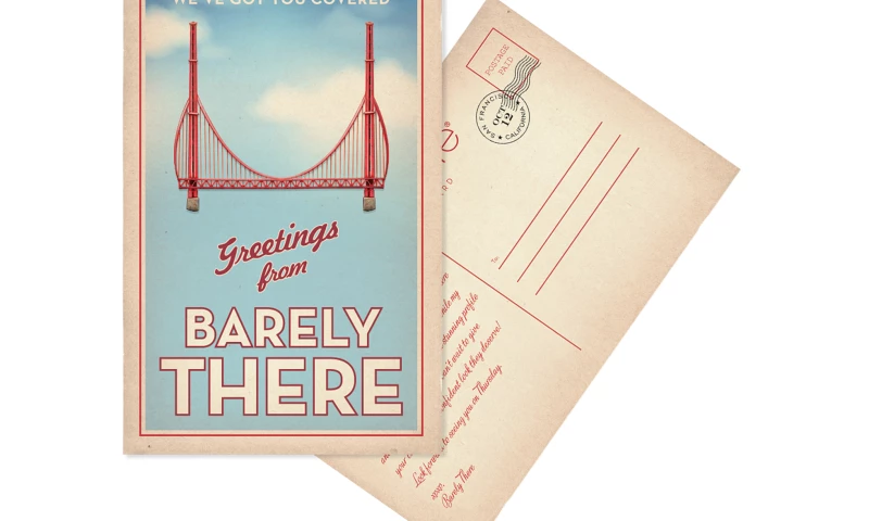 Wildfire - HBI/Barely There Direct Mail