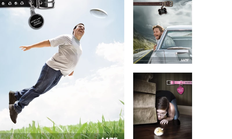 Wildfire - AARF Print Campaign