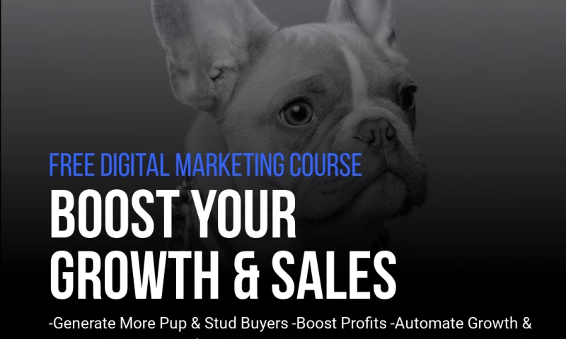 Enchantment Marketing LLC - Kennel Boost Brand Development