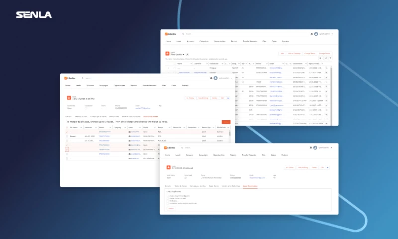 Custom Salesforce partner portal for Libertex