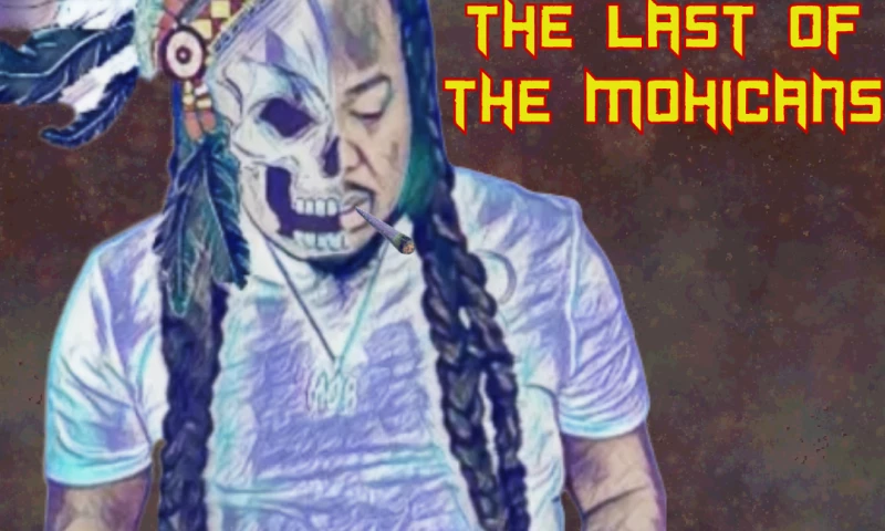 Asterisk Web Design Services - Luc Lucianno Album Art