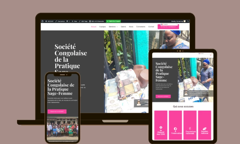 Esslims Digital - Bi-Lingual Healthcare Website