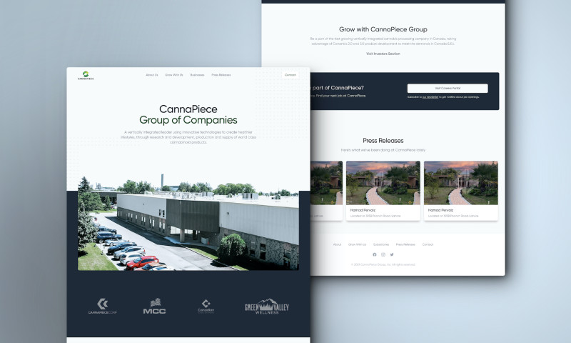 BearPlex Reviews | View Portfolios | DesignRush