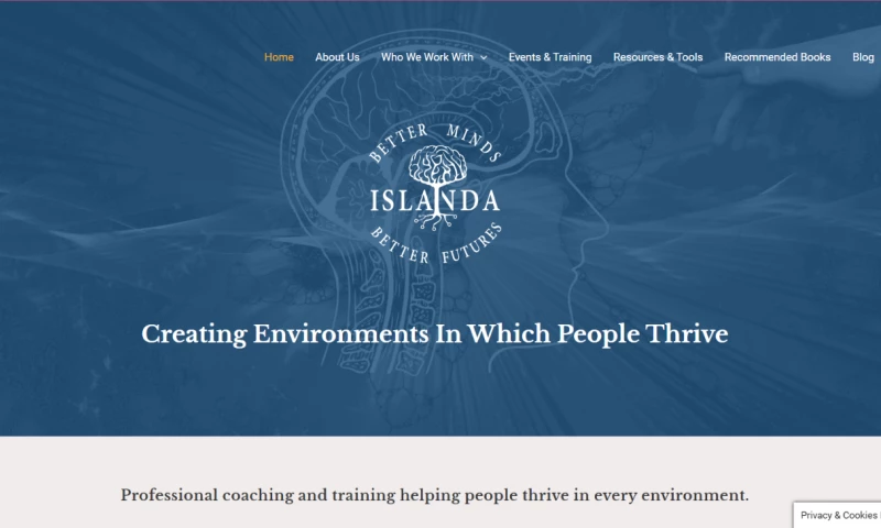 Just Realistic Marketing - Islanda Website Redesign & On-page SEO