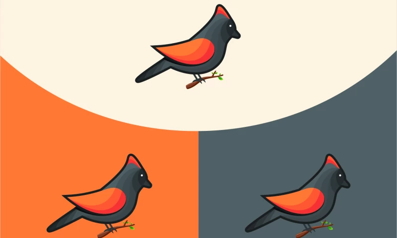 Saeculum Solutions - Bird Illustration