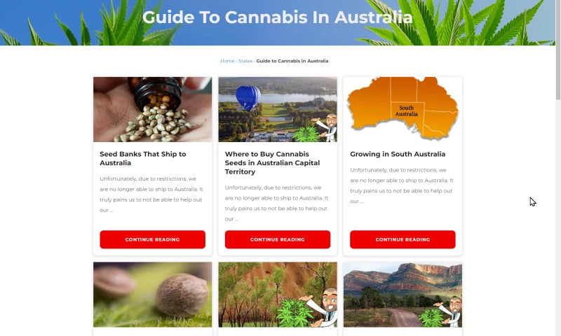 Weve Been Established And Healthy For Years And Still Saw 31% Growth In Organic Search And 25% More Transactions