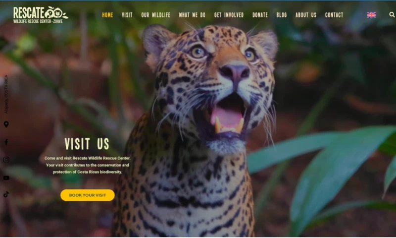 BockPress - Rescate Wildlife