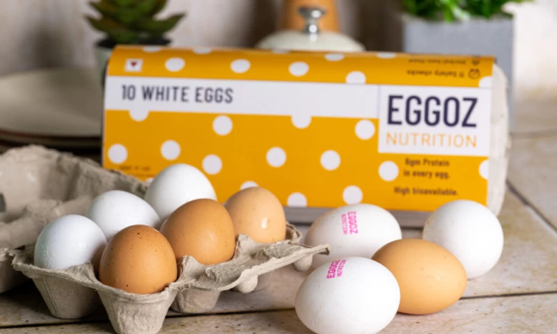 Brain Box Catalysts - Eggoz