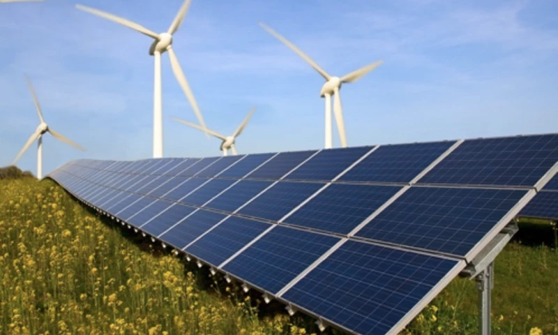 Solway - EcoSubsidy App: Enhancing Green Initiatives