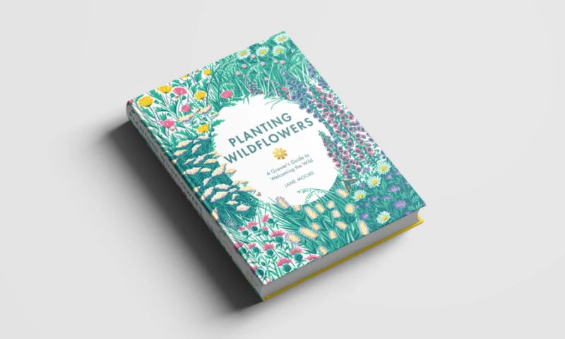 Maeve Bargman - Planting Wildflowers