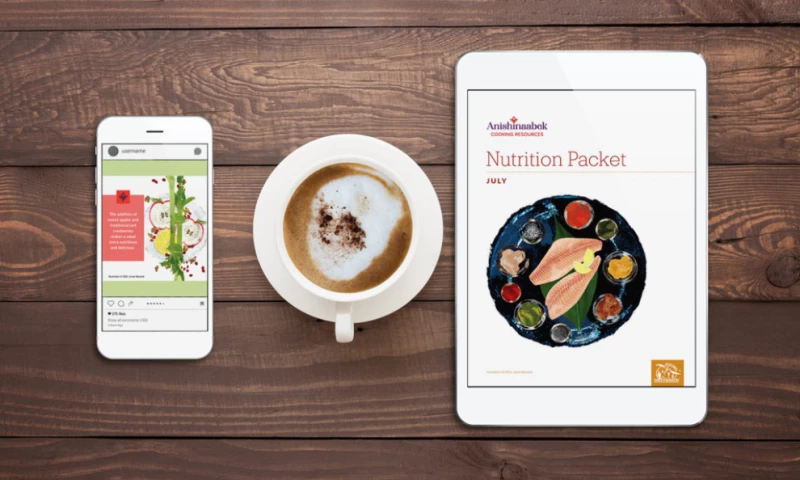 Inter-Tribal Council of Michigan