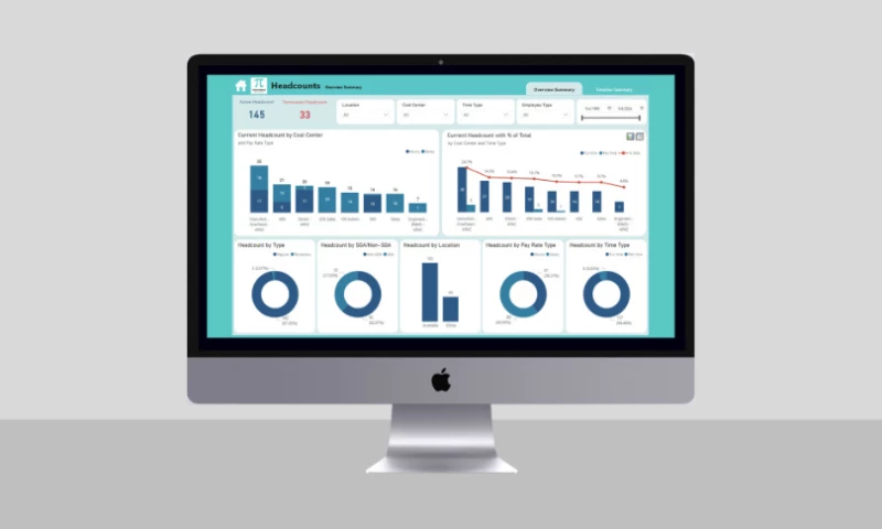 Techcronus Australia Pty Ltd - Human Resource Analysis Report