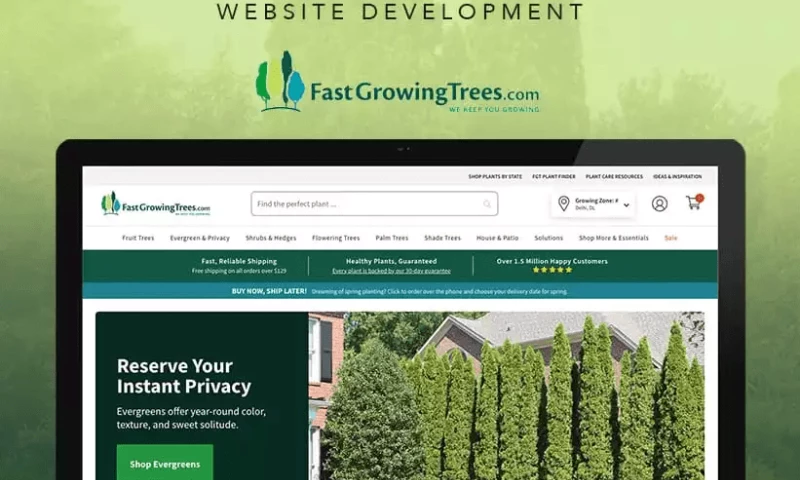 Mobikasa - Fast Growing Trees