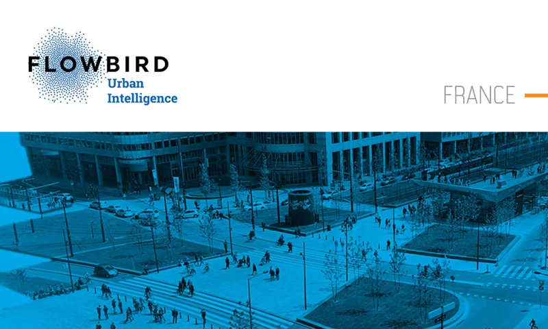 Future Processing - FLOWBIRD