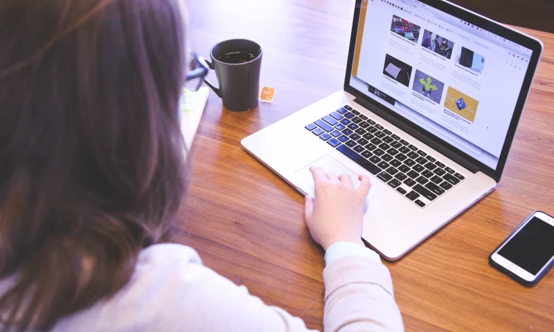 HireWPGeeks - Web Development