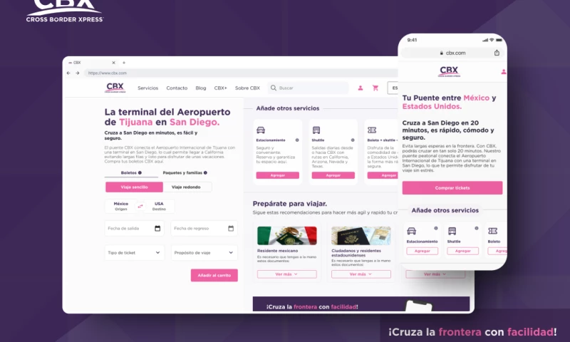 BluePixel - UX/UI Analysis & Web redesign for international cross border company
