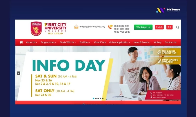 MYSense - 90% Website Contents Ranked on Googles Pages 1-2