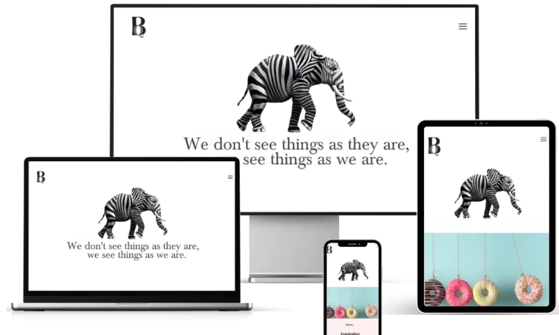 Mumbai Web Design - Branquila with Strategic Web Design and Branding