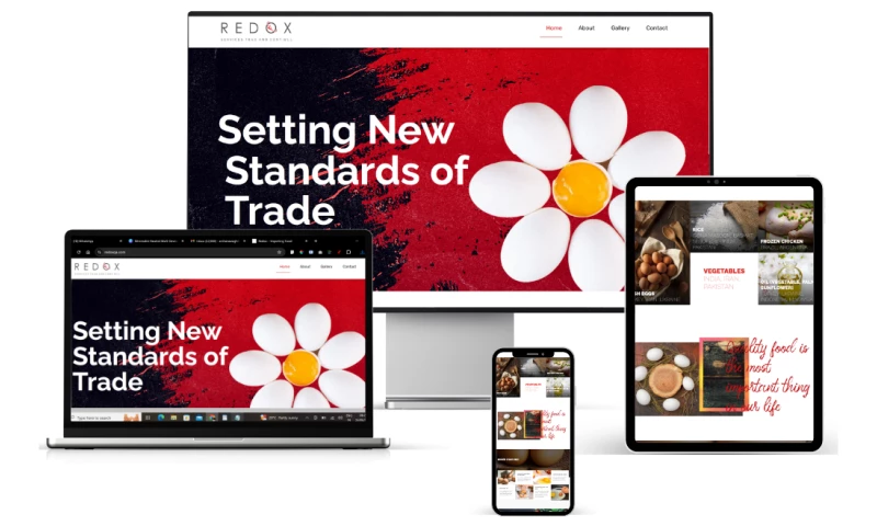 Mumbai Web Design - RedoxQA's Digital Presence with Strategic