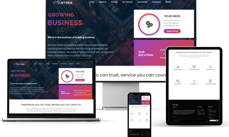 Mumbai Web Design - AntsRA's Digital Presence with Modern Web Design and SEO