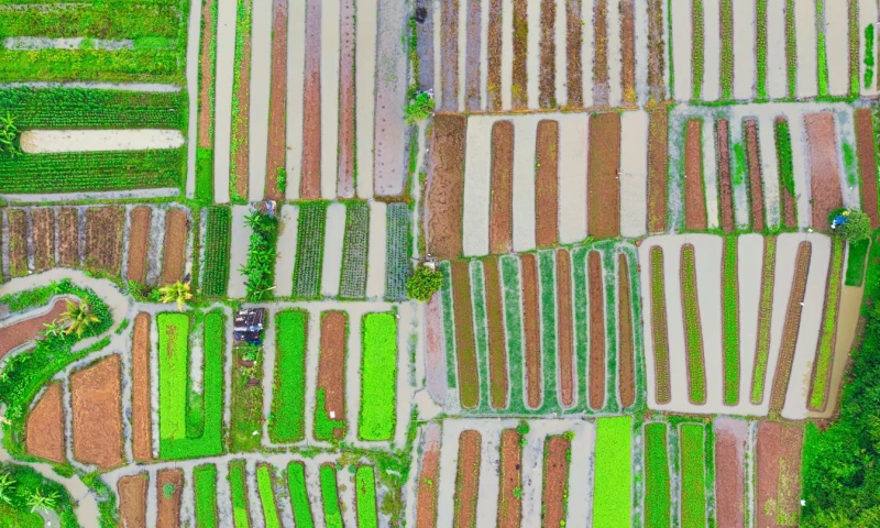 Upp Agency d.o.o. - Prediction and optimization tool for agriculture