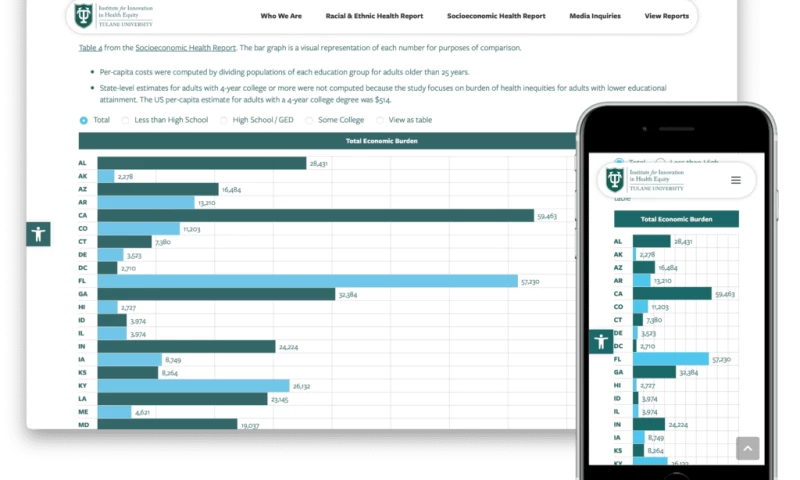 Online Optimism - Transforming Health Inequity Data into A Powerful Online Resource