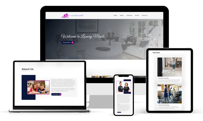 Tech Webers - Cleaning Website