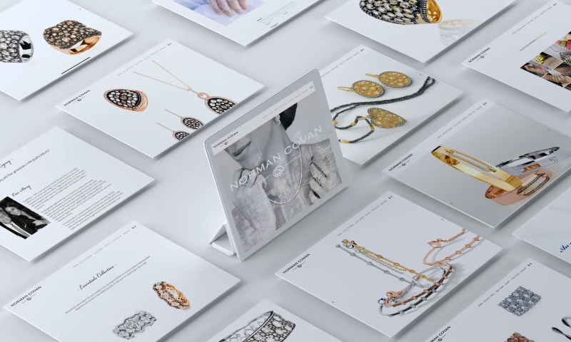 Robyn and Robyn - Norman Covan