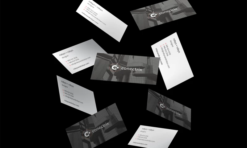 Robyn and Robyn - Conectrix