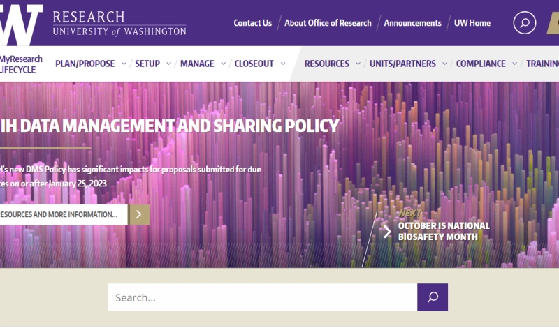 Frontend React JS Development Website