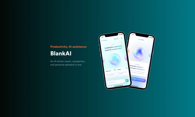 NERDZ LAB - Blank AI app: AI app development