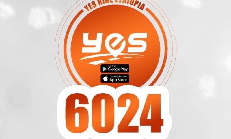 Kuri Graphics - Logo Design