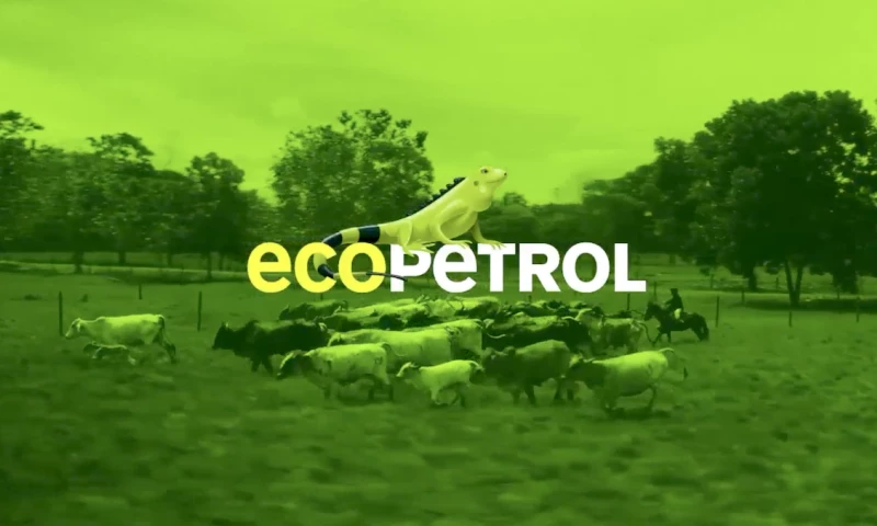 Colibrí Film - Campaña Ecopetrol, Un día en la vida de...