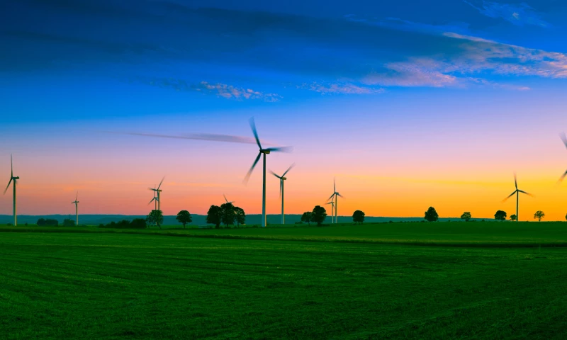 Simple Web Solutions - Synenergy Advisors - Web Design, Website Development & SEO