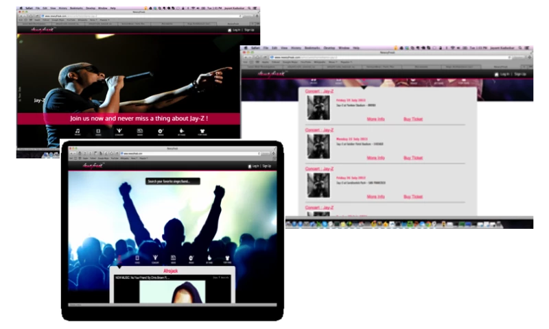 Biz 4Solutions - Fanfirst - Music Web Application