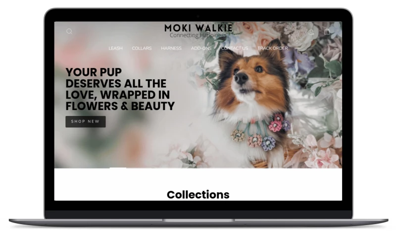 Digital Go Where - Website Development for "MOKI WALKIE"