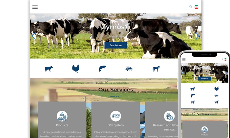 Zimex Apex - Web Design For KIMIAZYME