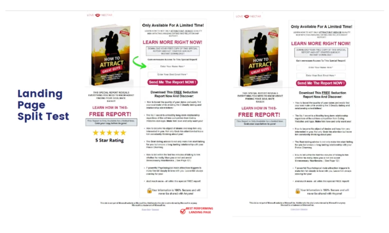 Landing Page Design & Optimization ( Love Nectar)