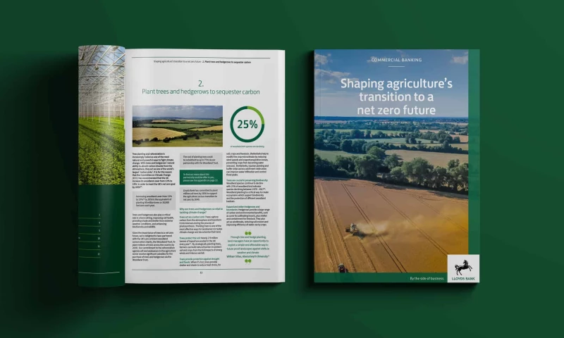 TRCREATIVE - Lloyds Banking Group Transition to Net Zero