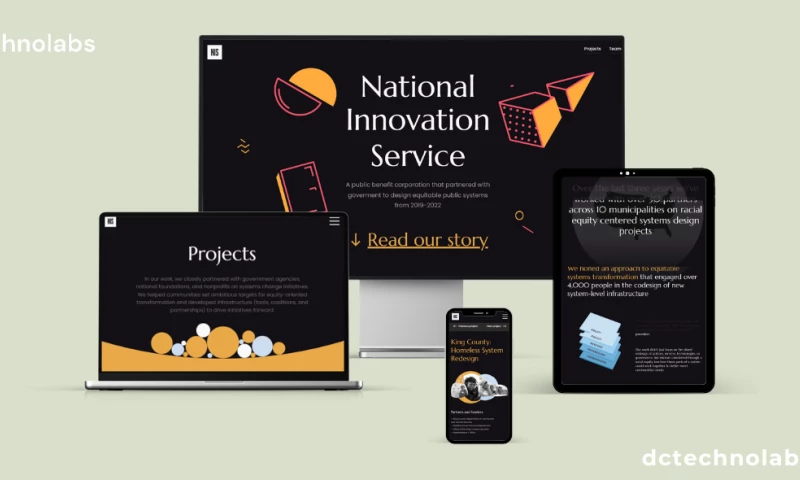 Web Development and Marketing for NIS