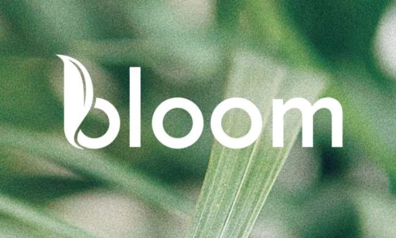 Wysp Creative - Bloom Finance Company
