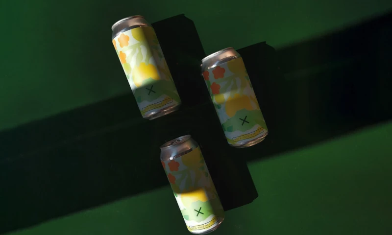 Gosia Kraszewska - The Beachcomber