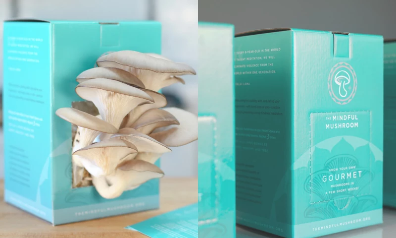 Compel Co. - The Mindful Mushroom