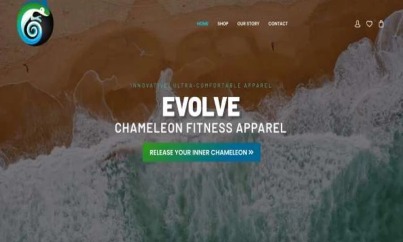 Creative Web Designs - Chameleon Fitness Apparel